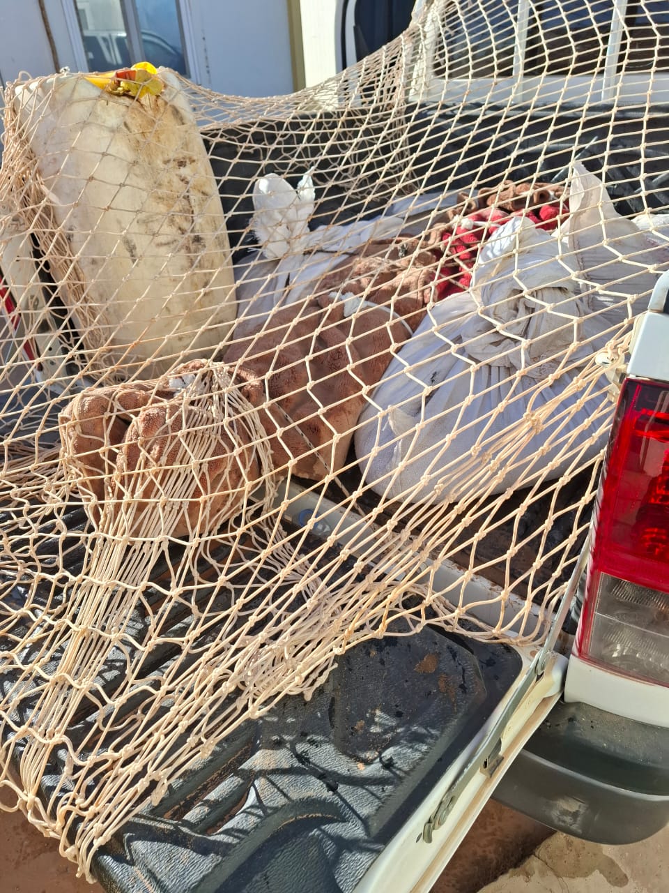 سيارة تقل جثمان المنقب هذه اللحظات